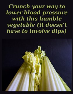 does celery lower blood pressure